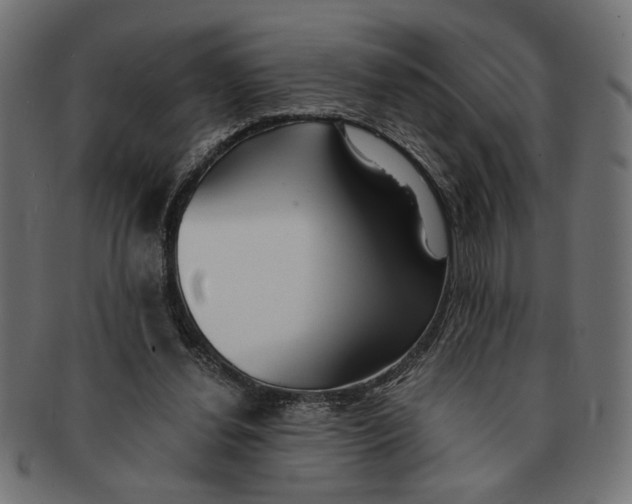 X0000091680252200709201244