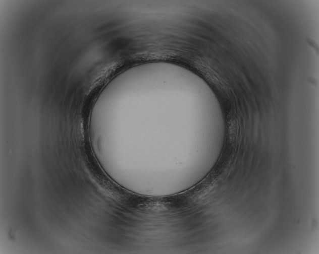 X0000091680254200709201244