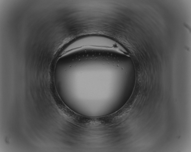 X0000091680256200709201244