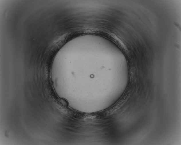 X0000091680257200709201244