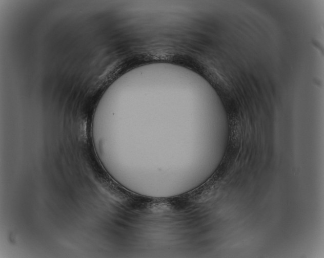 X0000091680262200709201244