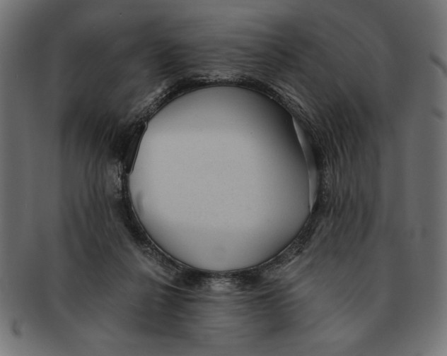 X0000091680264200709201244