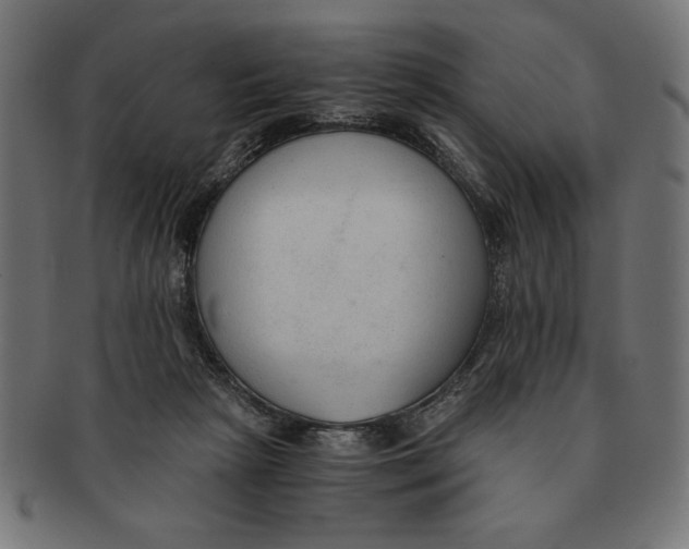 X0000091680265200709201244