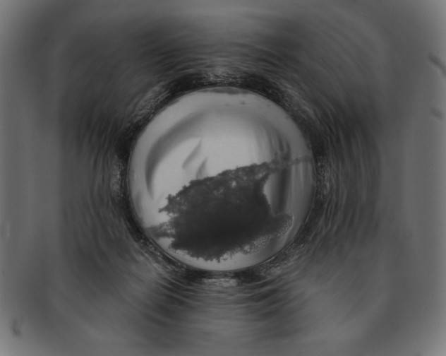 X0000091680266200709201244