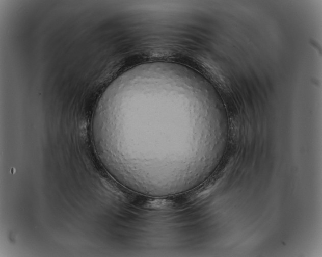 X0000091680269200709201244