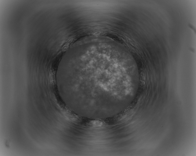 X0000091680272200709201244