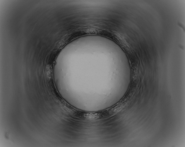 X0000091680273200709201244