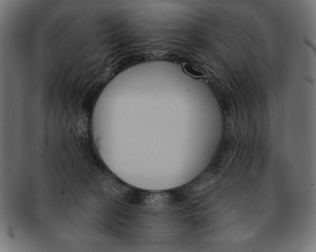 X0000091680274200709201244