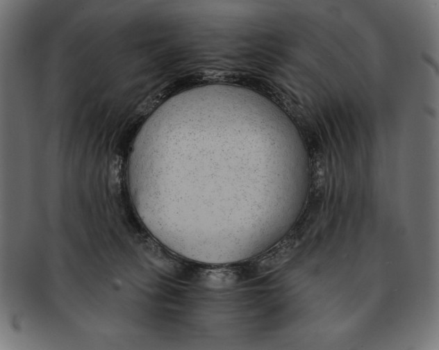 X0000091680275200709201244