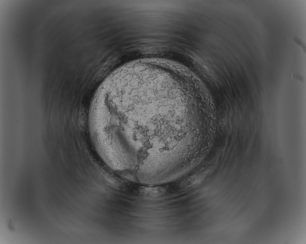 X0000091680277200709201244