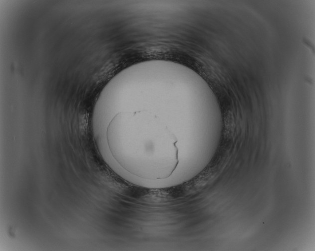 X0000091680278200709201244