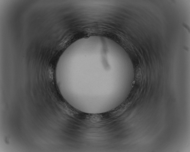 X0000091680282200709201245