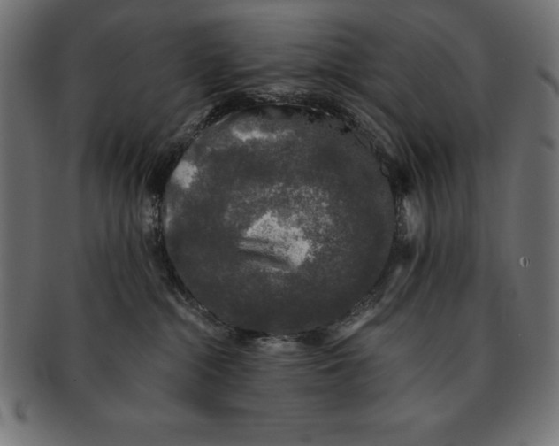 X0000091680284200709201245