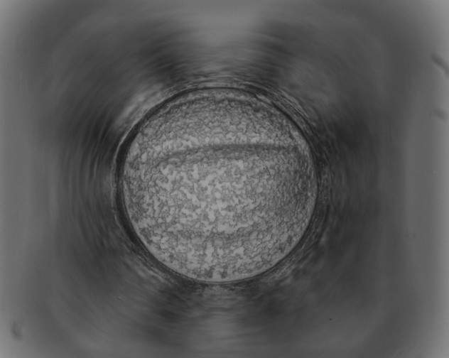 X0000091680290200709201244