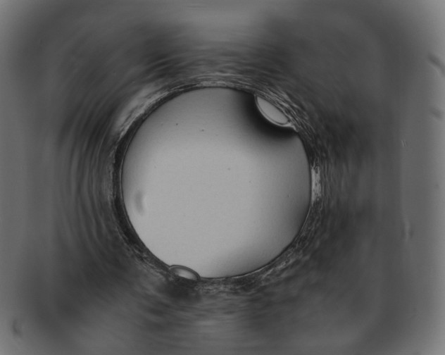 X0000091680291200709201244