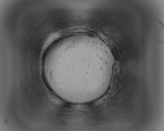 X0000091680293200709201244