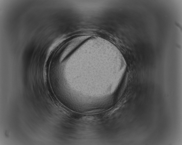 X0000091680294200709201244