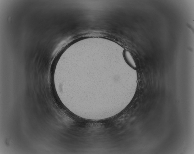 X0000091680296200709201244