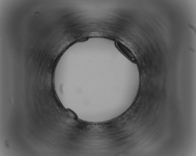 X0000091680297200709201244