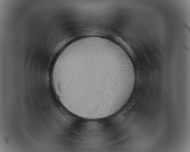 X0000091680298200709201244