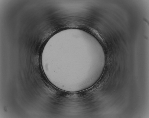 X0000091680299200709201244