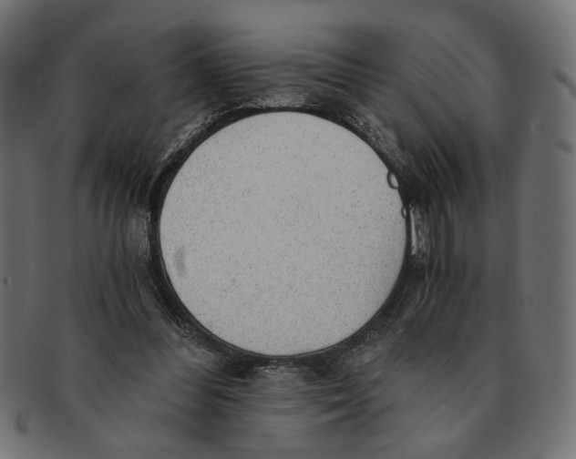 X0000091680300200709201244