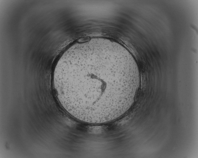 X0000091680301200709201244