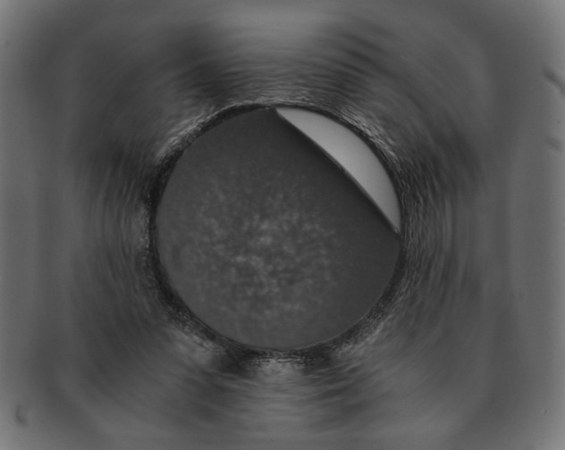 X0000091680303200709201244