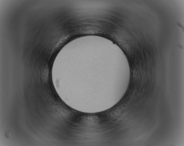 X0000091680304200709201244