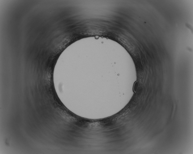 X0000091680309200709201244