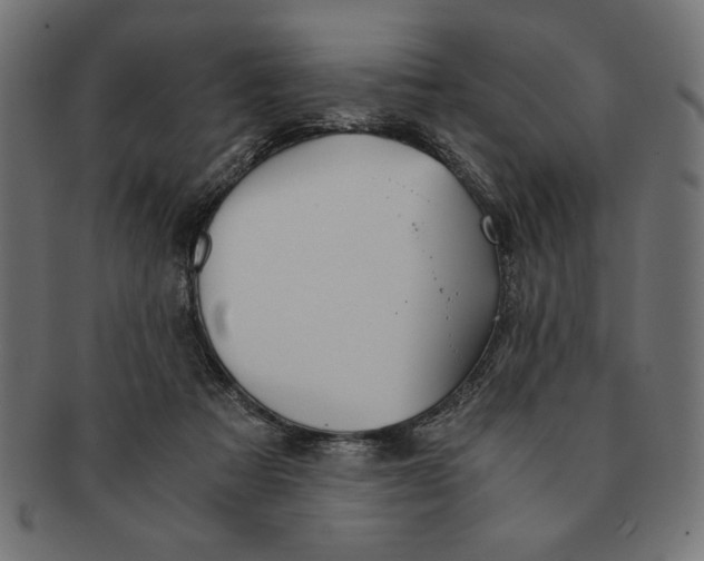 X0000091680313200709201244