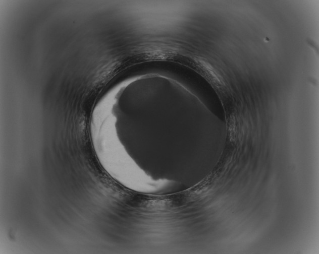 X0000091680314200709201244