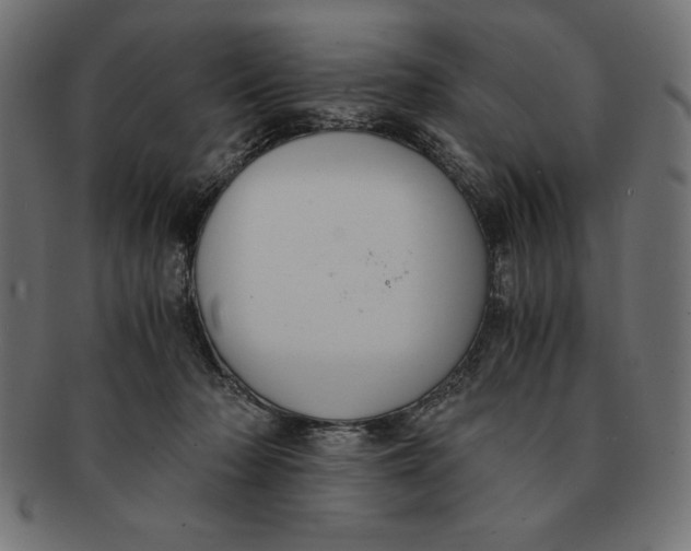 X0000091680318200709201244