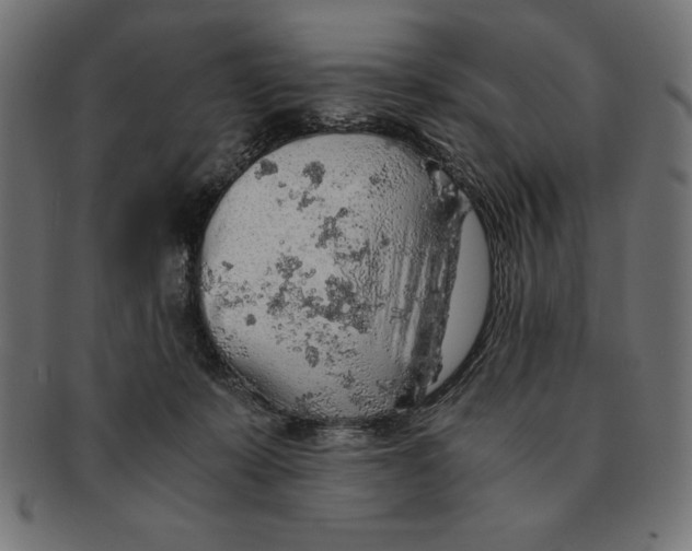 X0000091680319200709201244