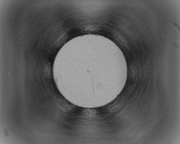 X0000091680328200709201244