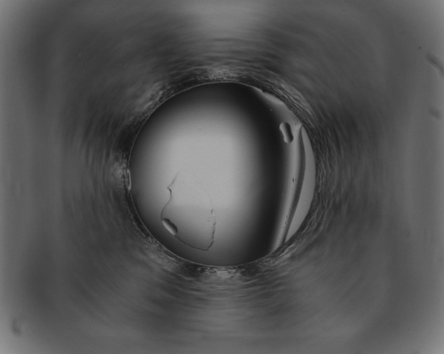 X0000091680329200709201244