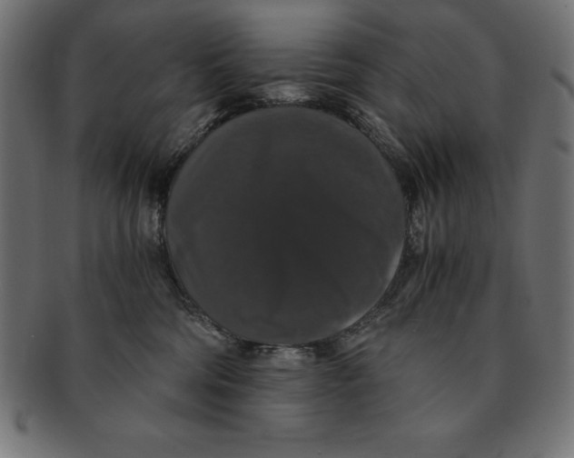 X0000091680330200709201244