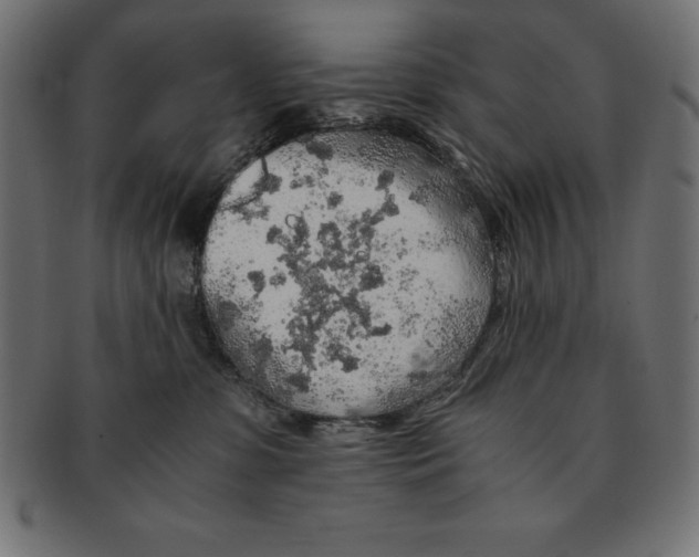 X0000091680331200709201244