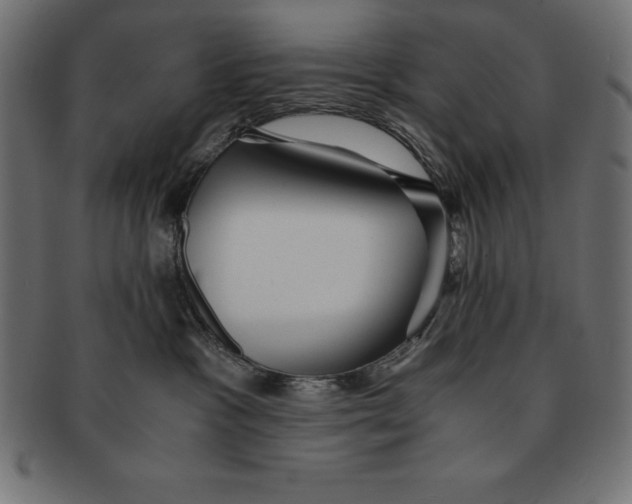 X0000091680333200709201244