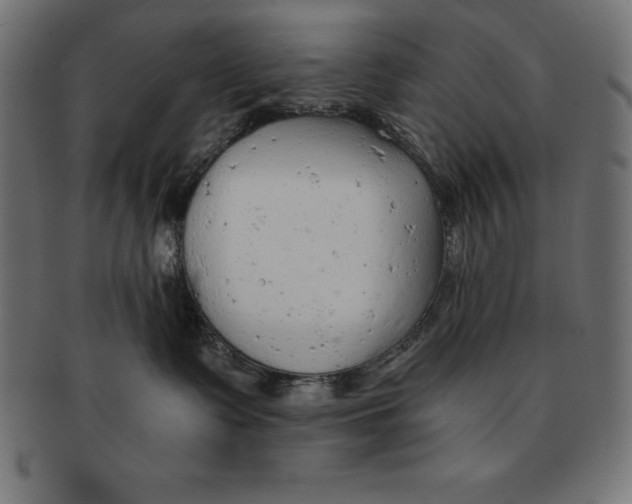 X0000091680335200709201243