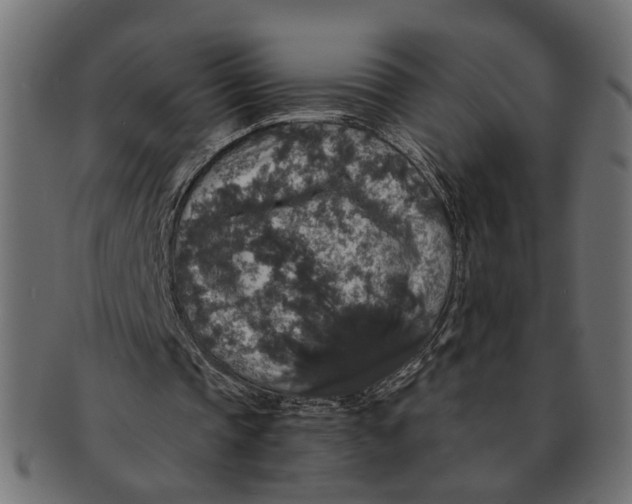 X0000091680337200709201243