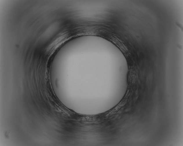 X0000091680338200709201243