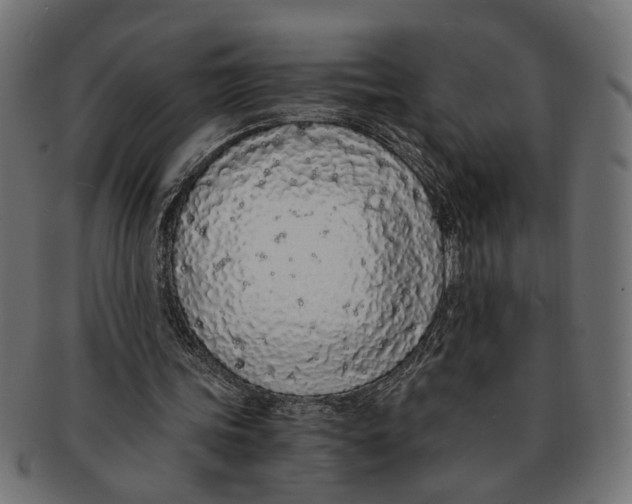 X0000091680339200709201243