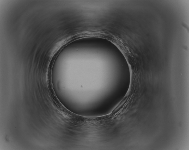 X0000091680340200709201243