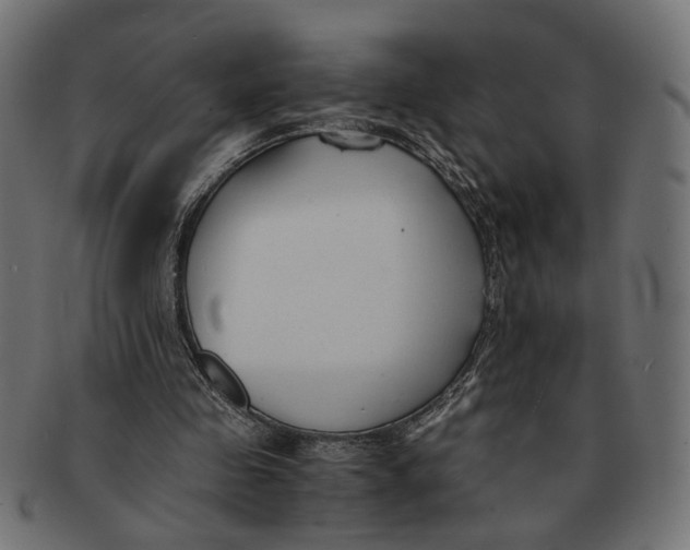 X0000091680341200709201243