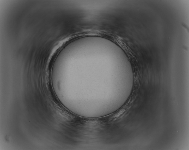 X0000091680342200709201243