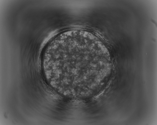 X0000091680343200709201243