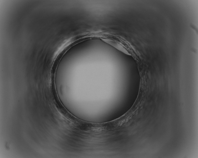 X0000091680344200709201243