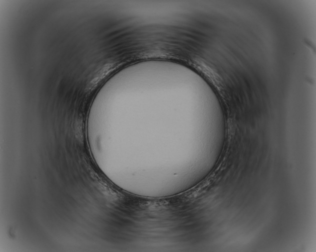 X0000091680345200709201243