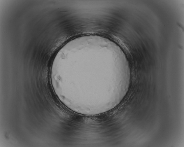 X0000091680346200709201243